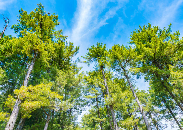 Repair, Service, and Calibration of Laboratory Equipment - Henderson ...