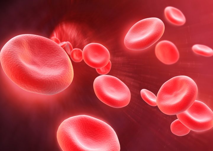 Blood cancer testing